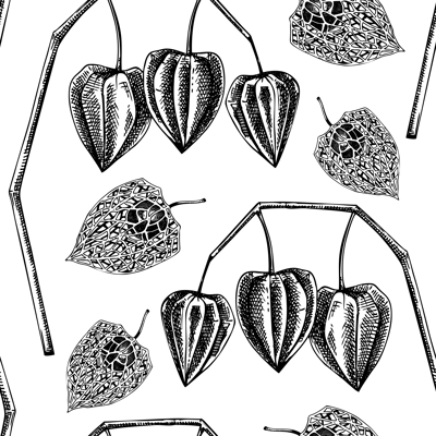Autumn seamless pattern. Decorative plant sketch. Sketched physalis design. Hand-drawn botanical illustrations in vintage style. Dried plants backdrop. Thanksgiving background